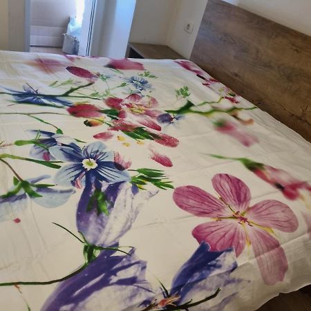 Apartament Caci Črni Kal Zewnętrze zdjęcie