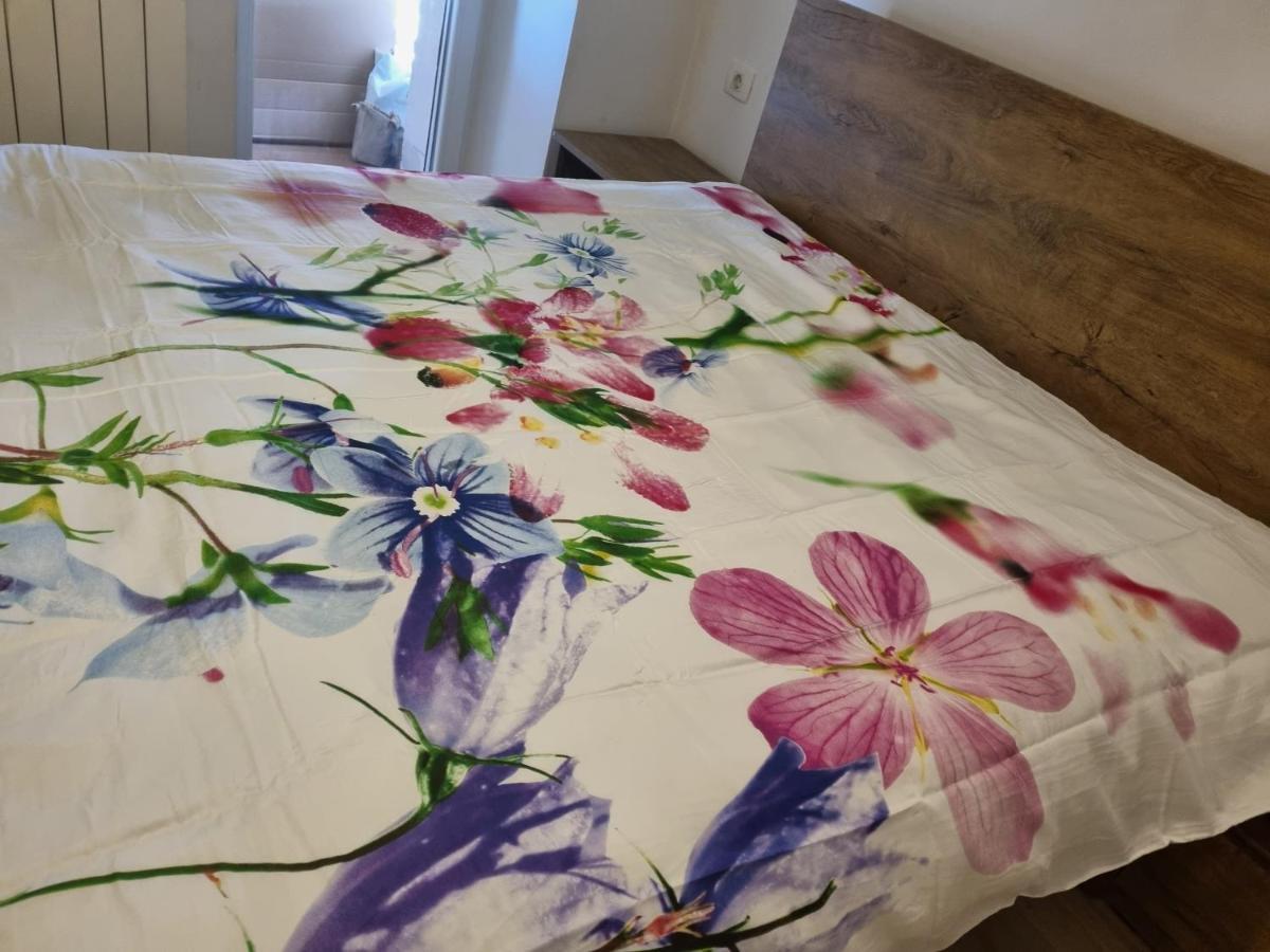 Apartament Caci Črni Kal Zewnętrze zdjęcie